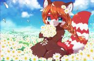 amount:solo atmosphere:field atmosphere:flowers body-type:anthro body-type:semi-anthro body-type:slightly-chubby boquet flower species:red-panda style:chromatic-aberration style:intentional-blur style:kemono // 1500x980 // 2.1MB
