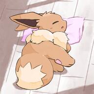 amount:solo atmosphere:home body-type:feral series:pokemon sleeping species:eevee // 1600x1600 // 219KB