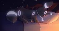 amount:solo atmosphere:bedroom body-type:feral hall-of-fame:bronze hall-of-fame:silver necklace series:eeveelutions series:pokemon species:umbreon style:colored-lighting style:dim style:glow wink // 1920x1004 // 122KB