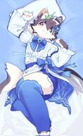 amount:solo atmosphere:bedroom atmosphere:regal body-type:anthro hall-of-fame:bronze heterochromia outfit species:cat style:kemono thigh-highs wearing-bow // 1261x2048 // 261KB